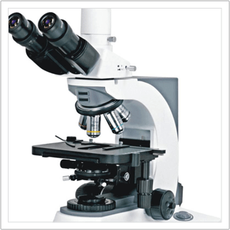 Microscopy